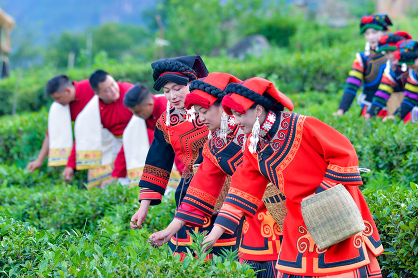 對歌采茶