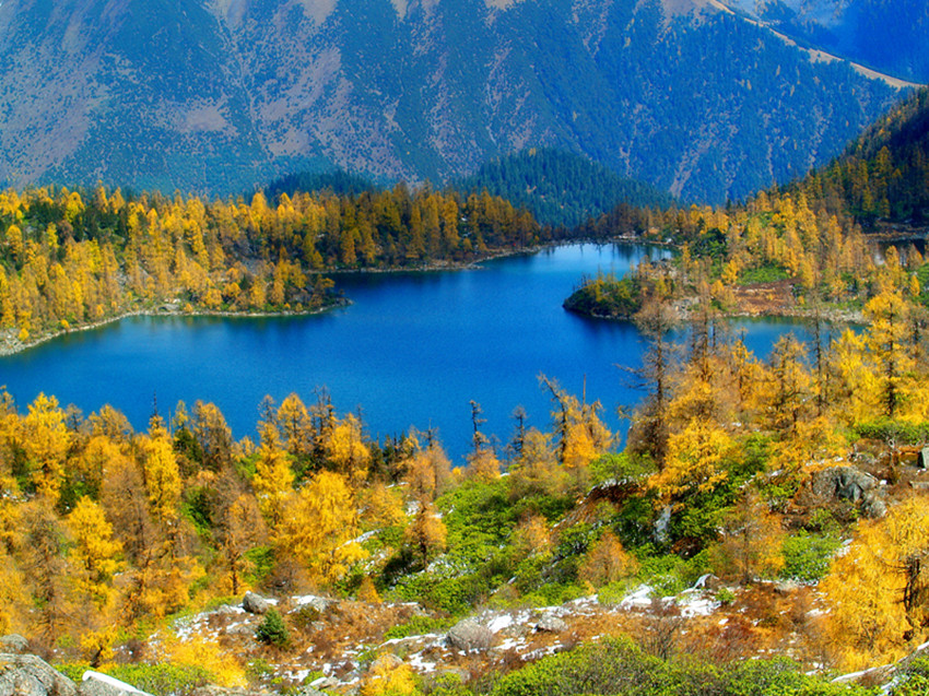 賞甘孜秋景 沐彩林盛宴