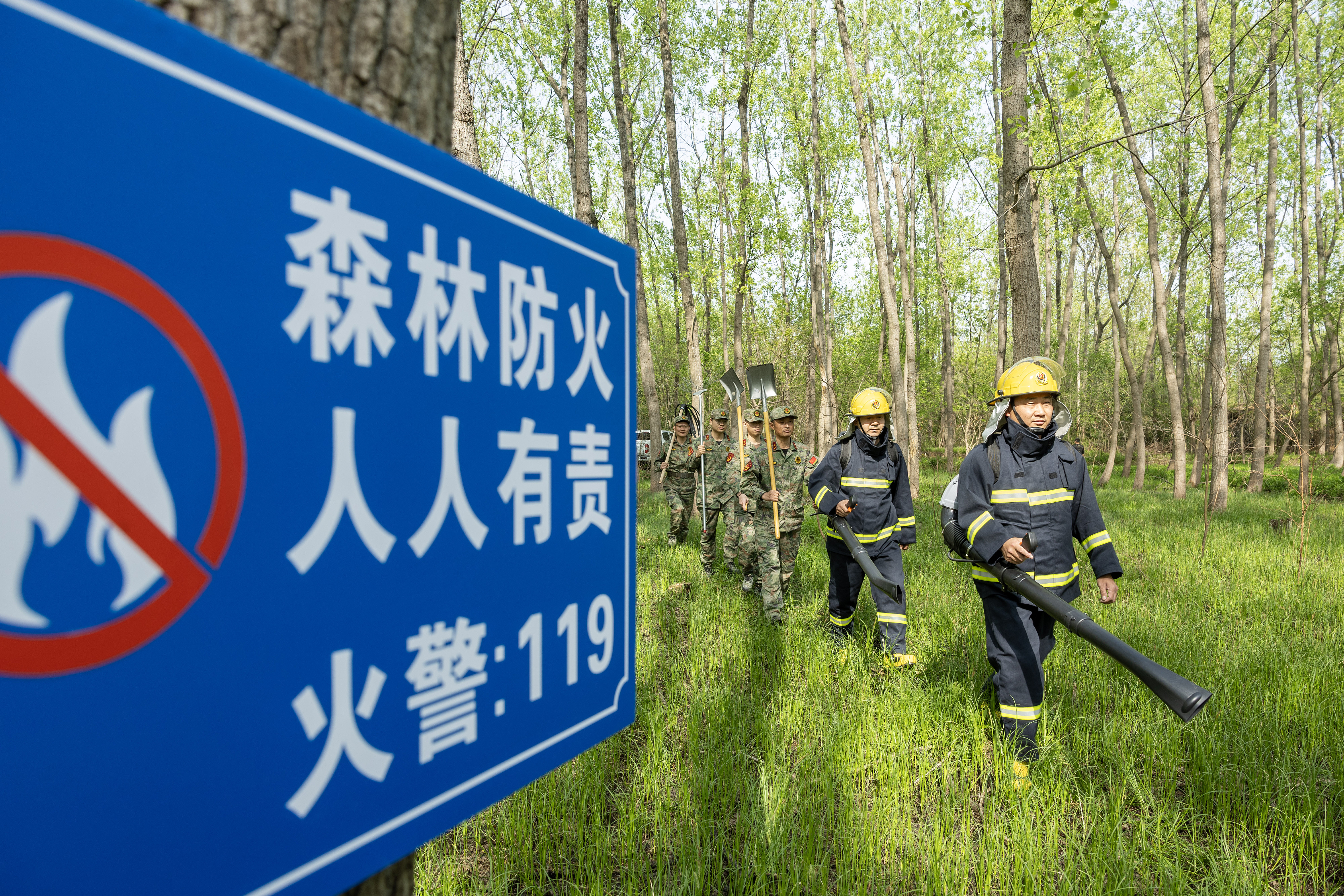 2024年4月9日，合肥市大房郢水庫水源保護(hù)地廬陽經(jīng)濟(jì)開發(fā)區(qū)段，基干民兵正在林間巡查火災(zāi)隱患。