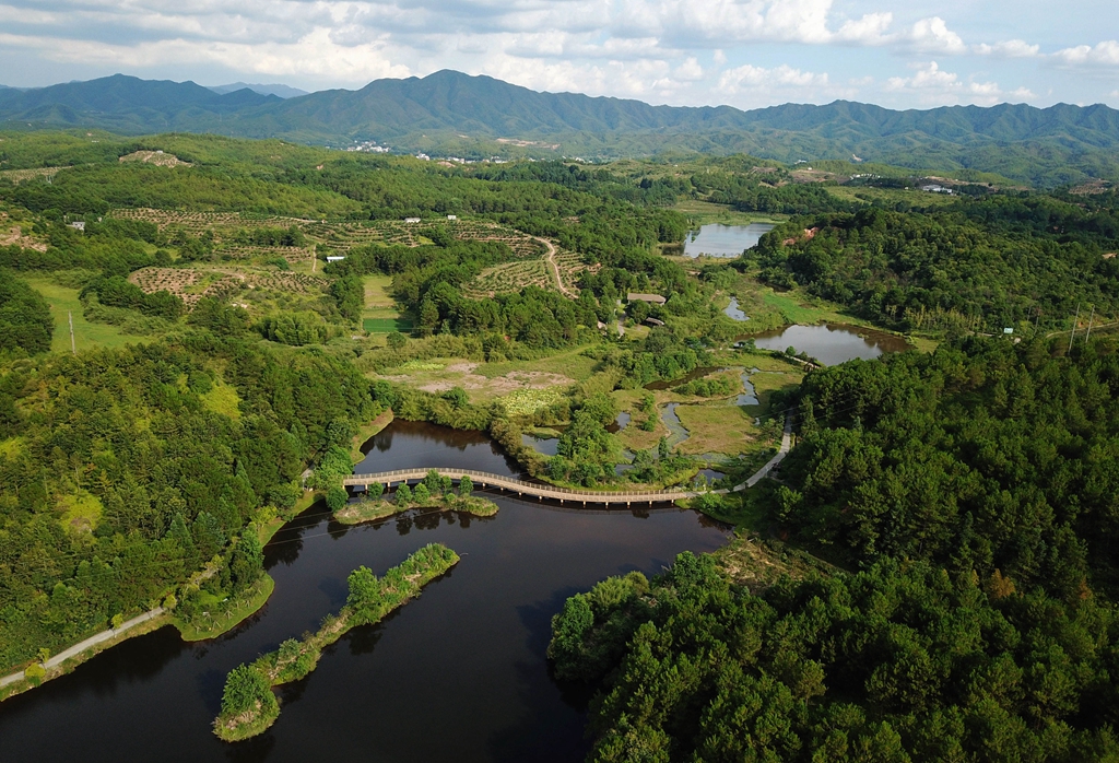 福建省龍巖市長(zhǎng)汀縣的長(zhǎng)汀汀江國(guó)家濕地公園景色（2020年7月28日攝，無人機(jī)照片）。新華社記者 魏培全 攝