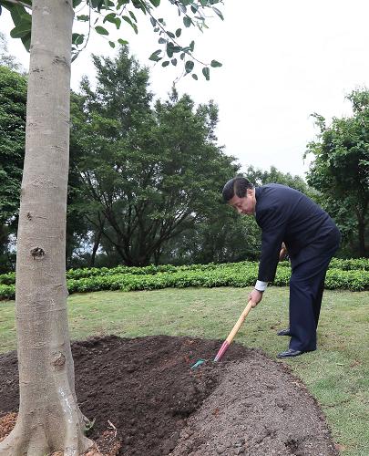 2012年12月7日至11日，習(xí)近平在廣東省考察工作。這是8日上午，習(xí)近平在深圳蓮花山公園種下一棵高山榕樹。新華社記者 蘭紅光 攝